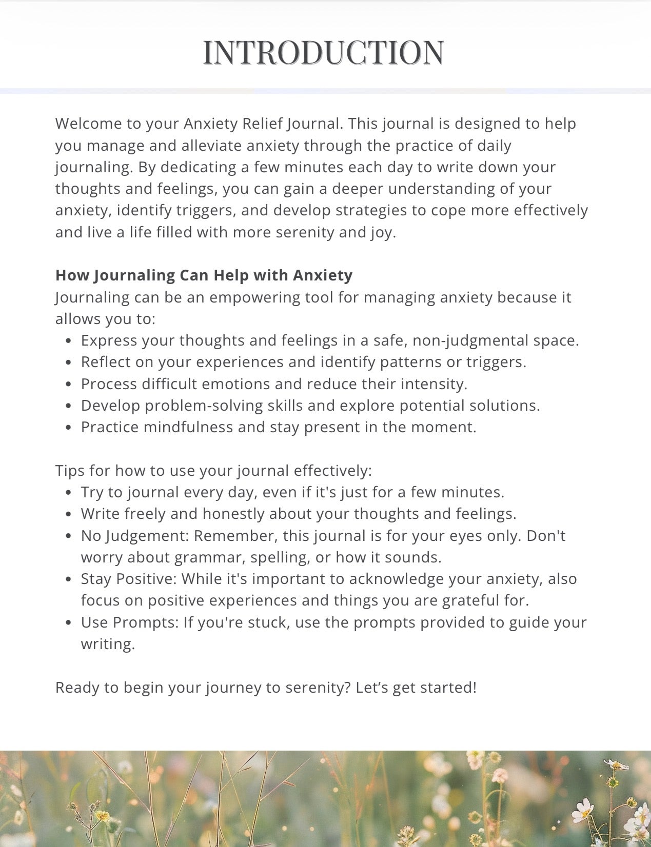 Anxiety Relief Journal